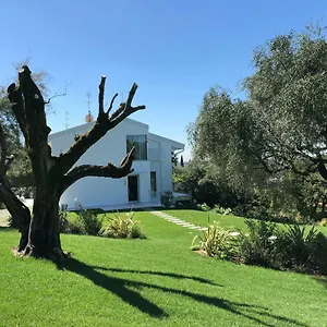 Il Bacio Del Sole Apartment
